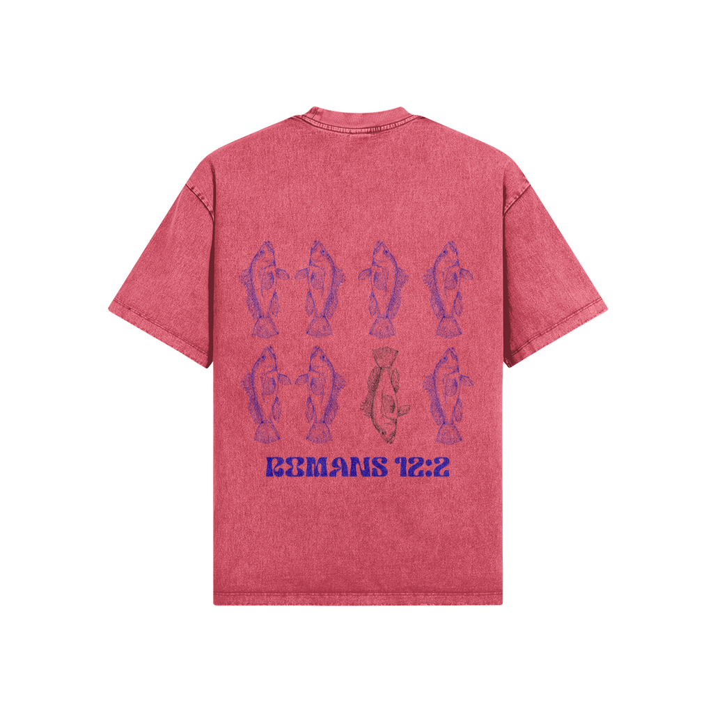 0-YCG-Back Side
