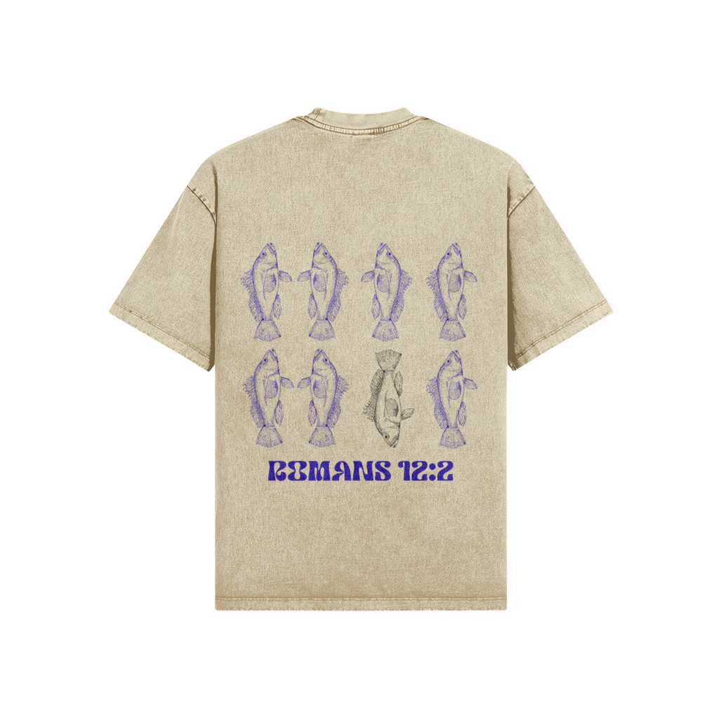 0-YCB-Back Side