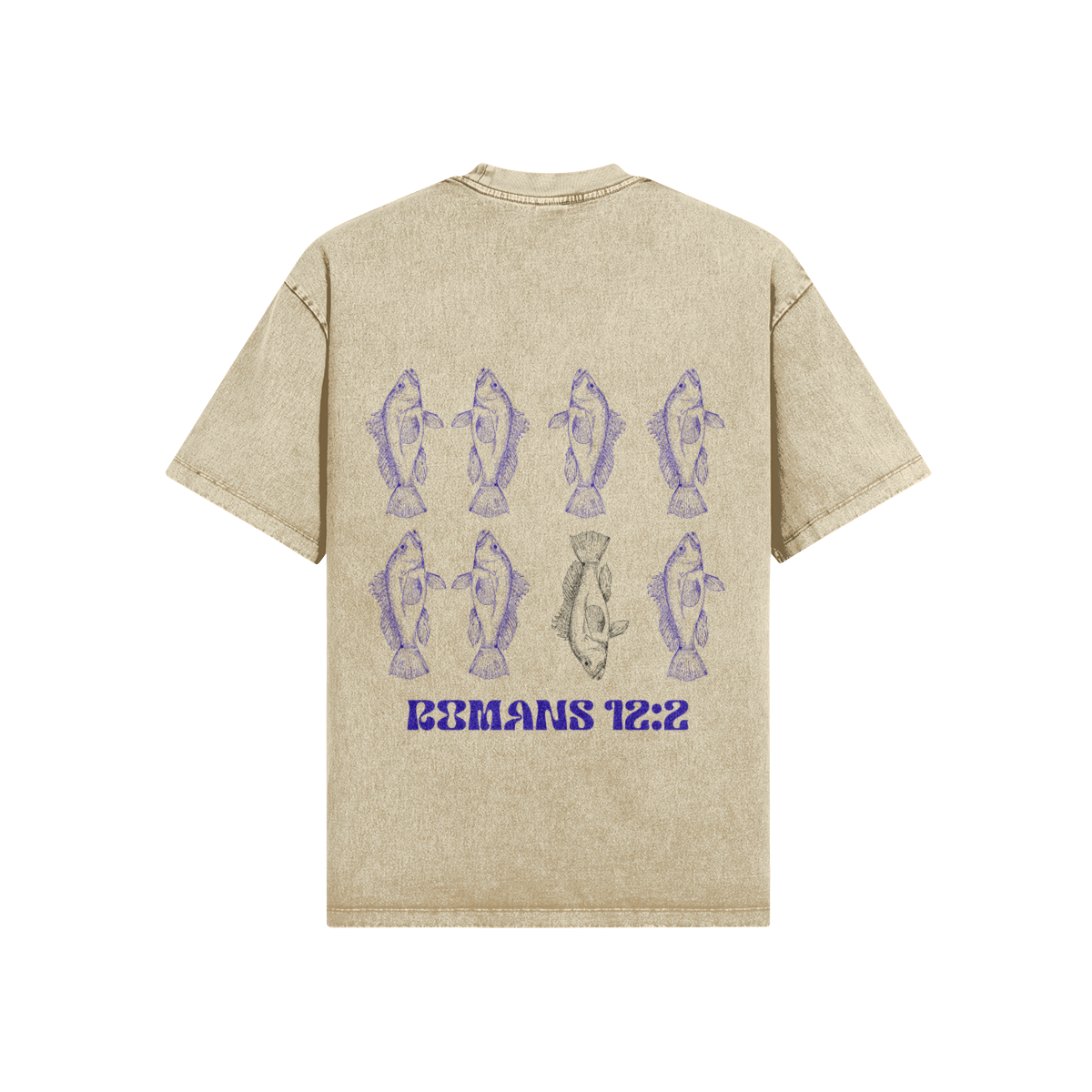 0-YCB-Back Side