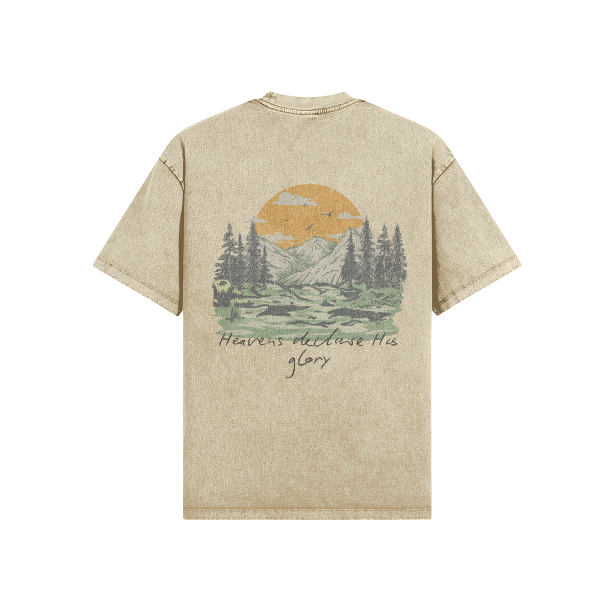 0-YCB-Back Side