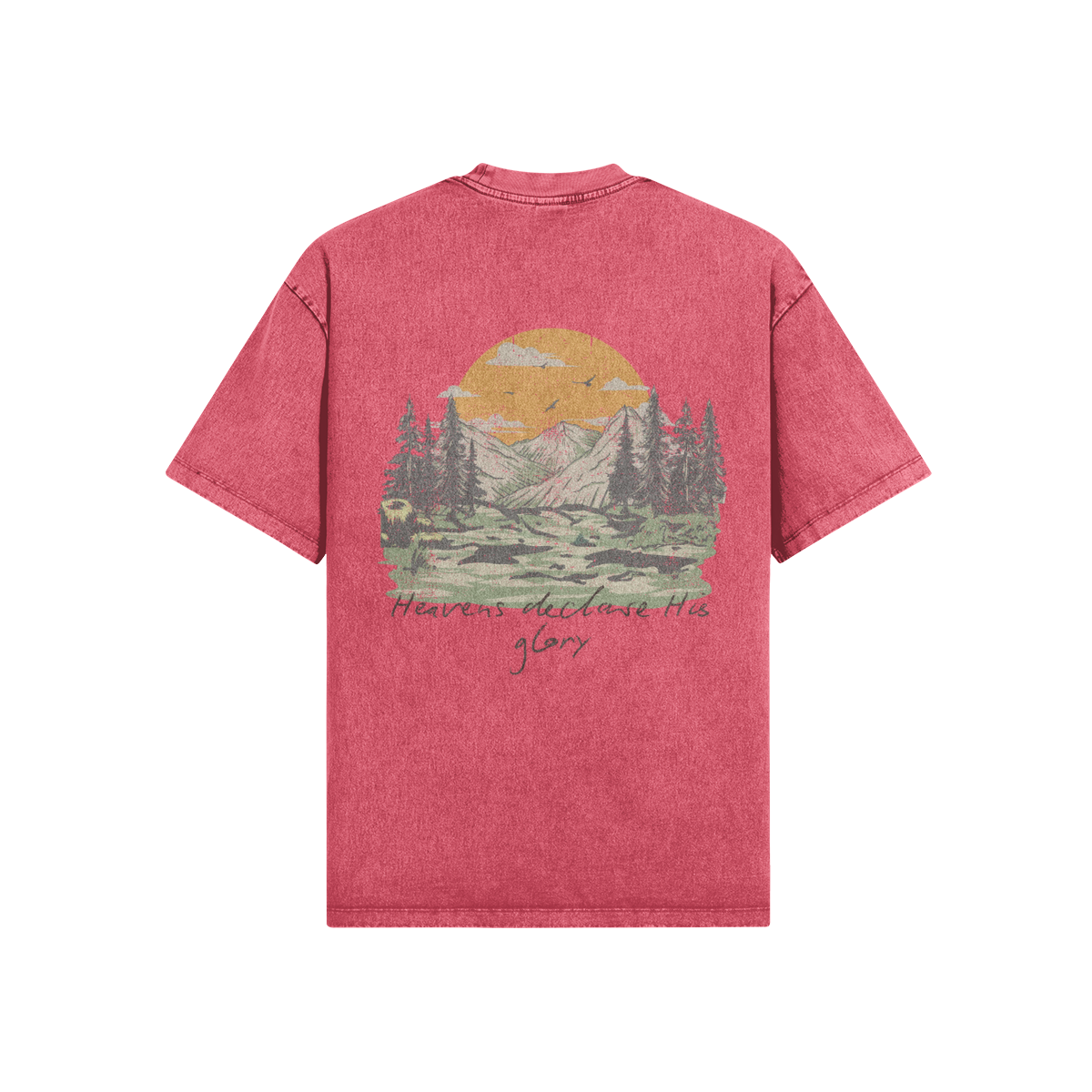 0-YCG-Back Side