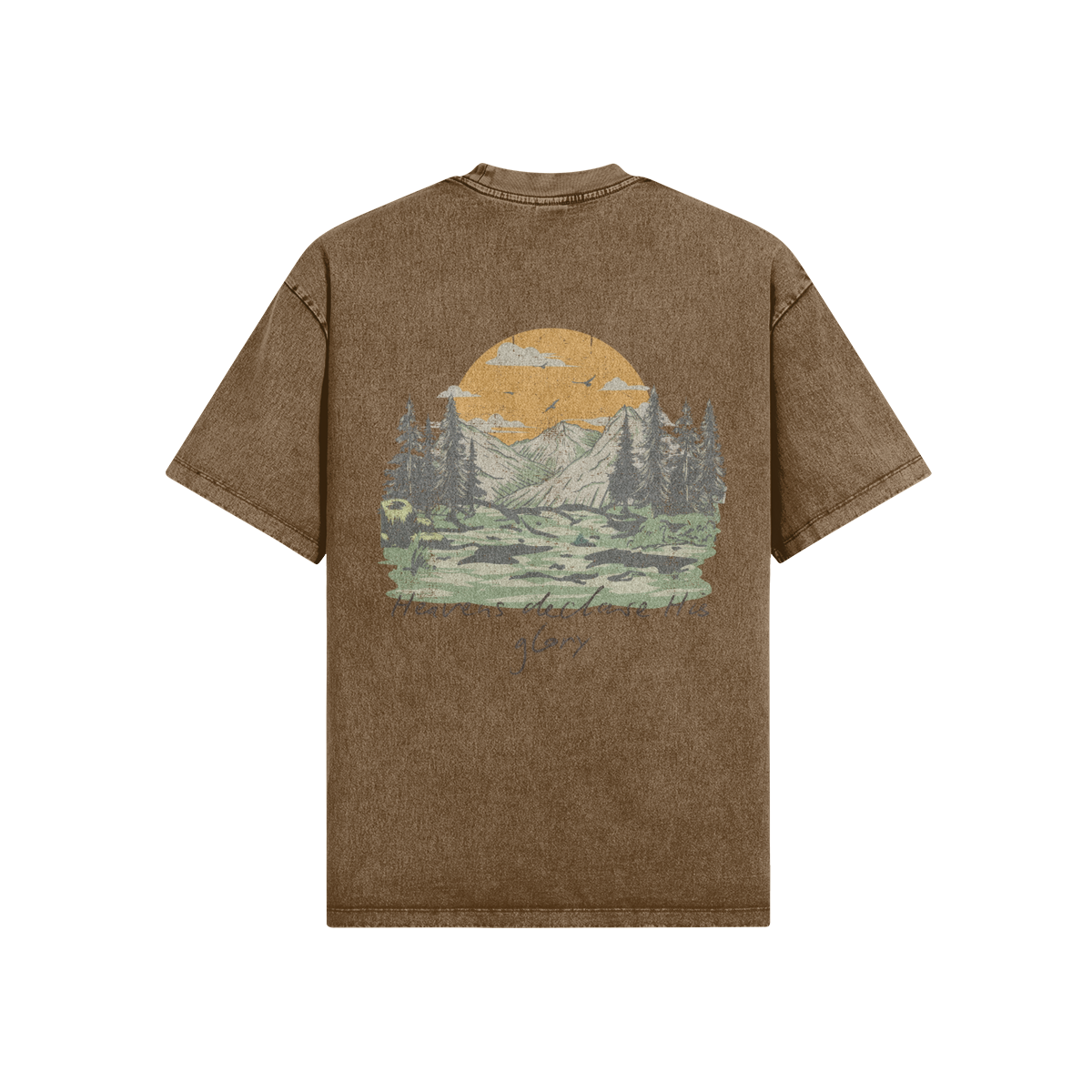 0-YCF-Back Side