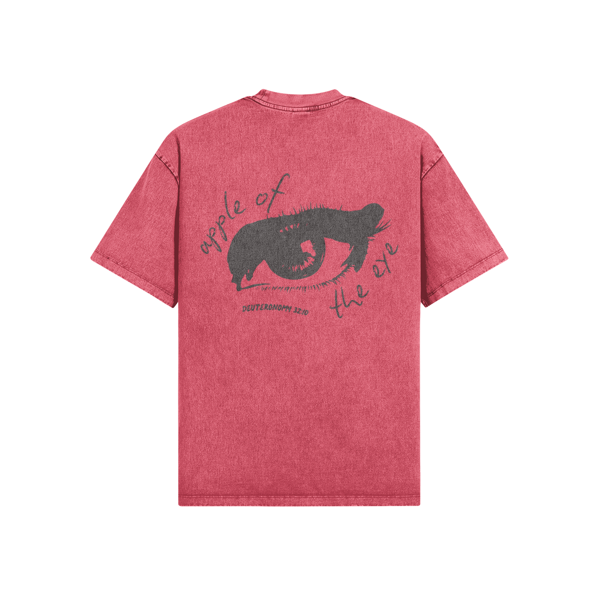 0-YCG-Back Side