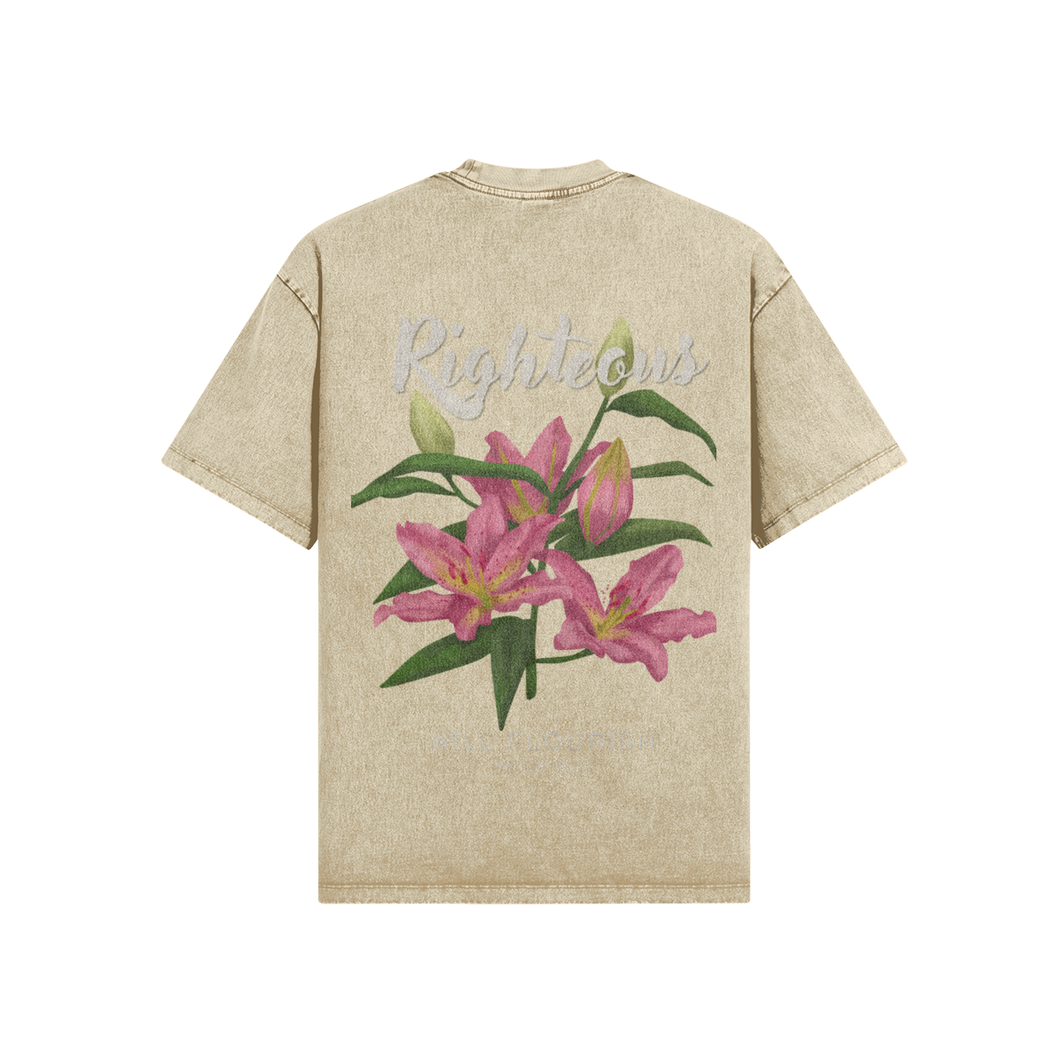 0-YCB-Back Side