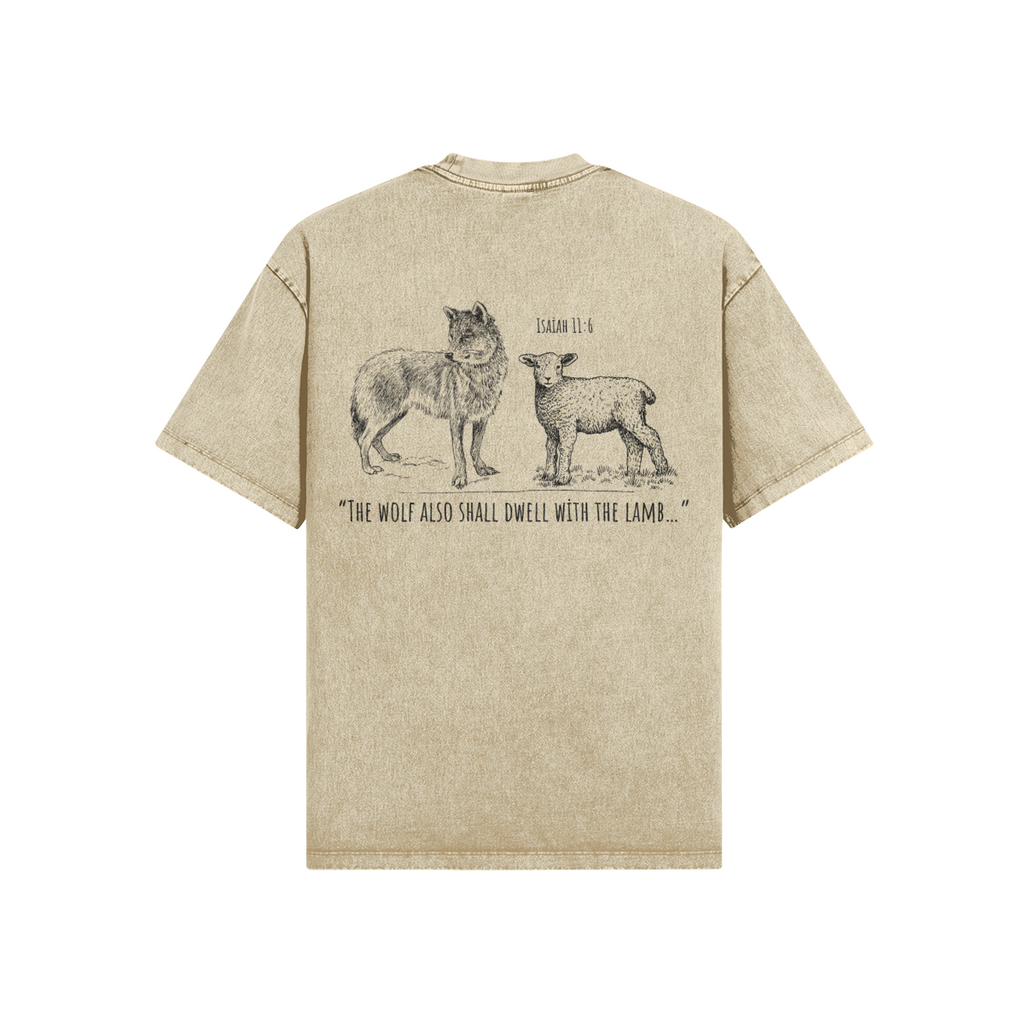 0-YCB-Back Side