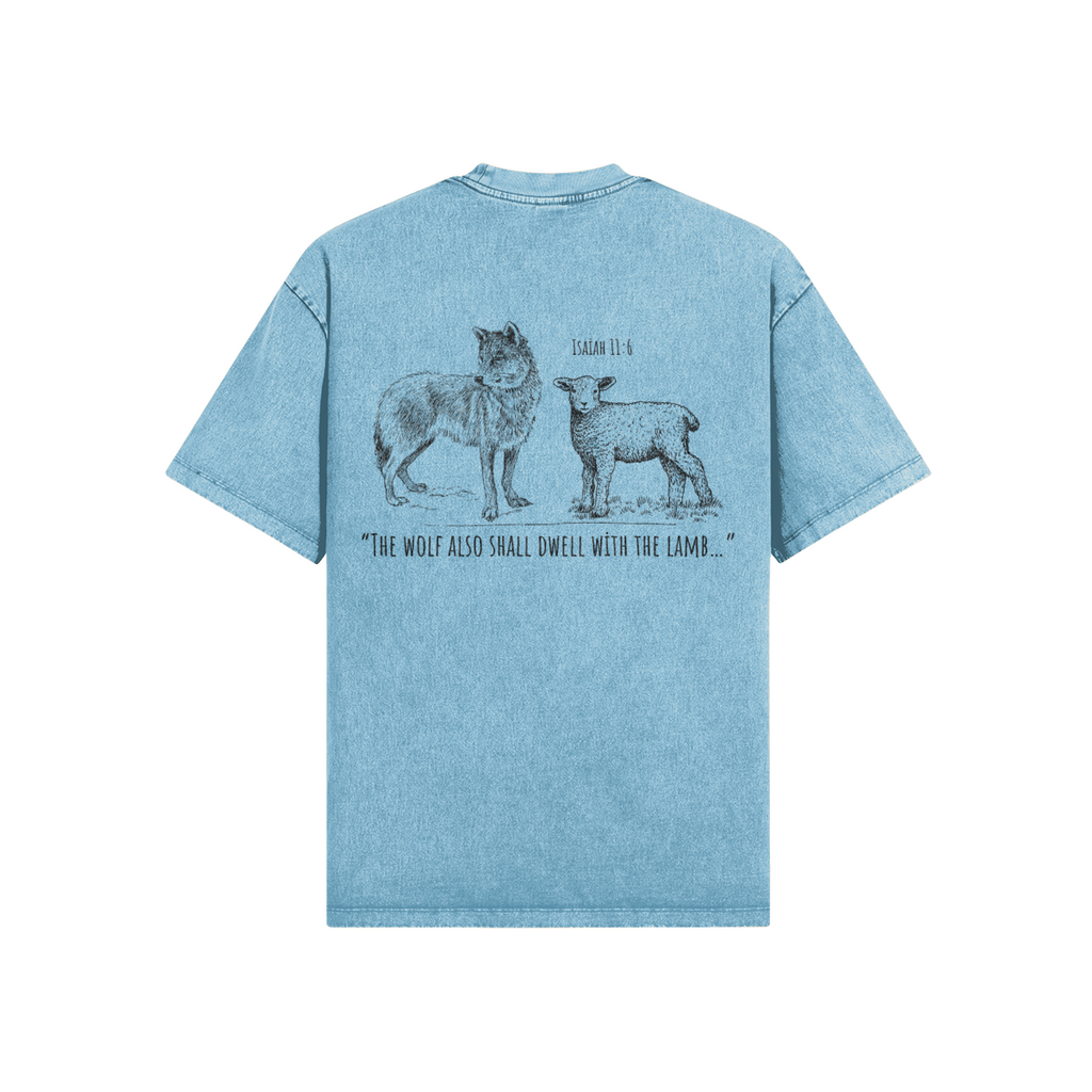 0-YCD-Back Side