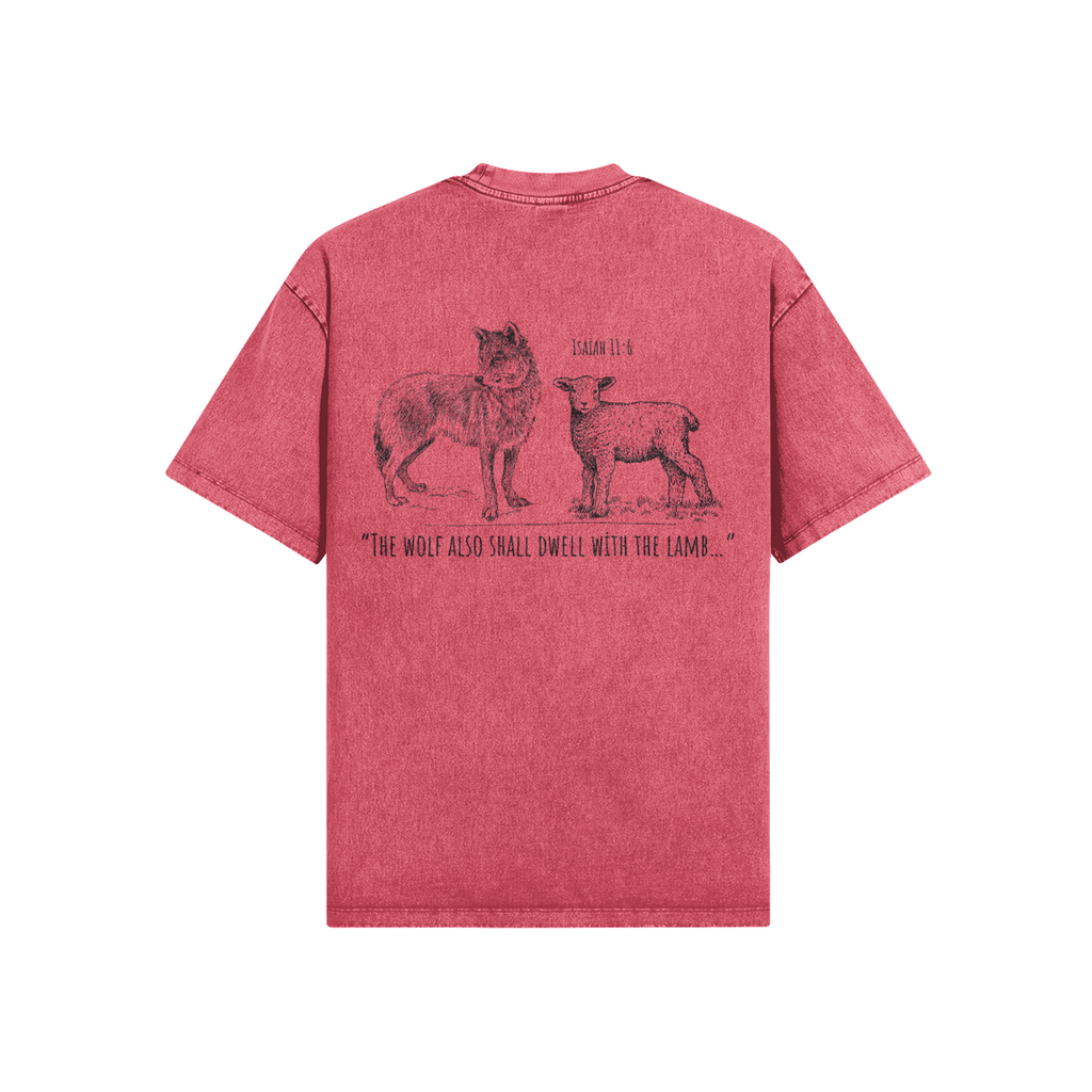 0-YCG-Back Side